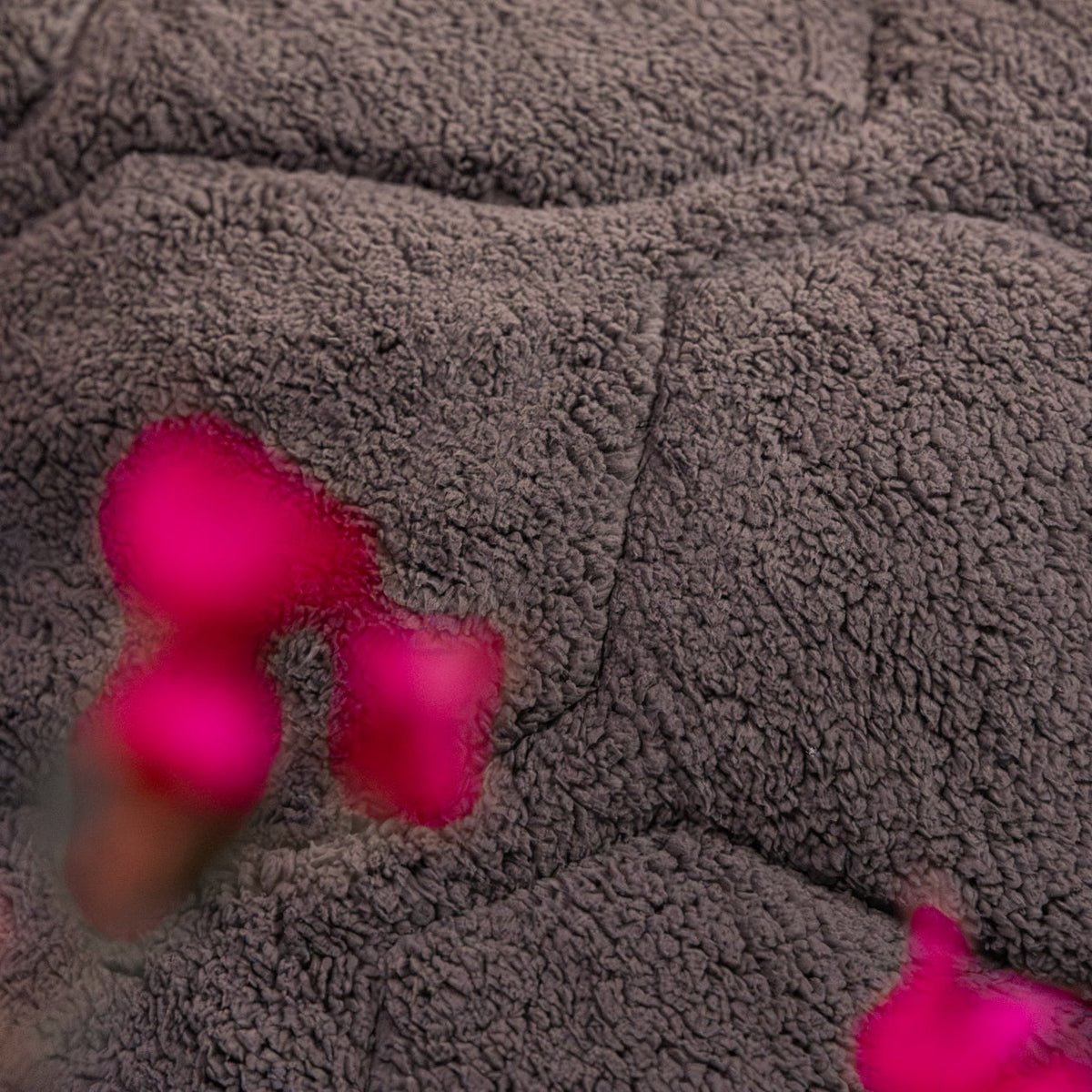 Wasbaar All Season Dekbed | Teddy | Anthracite